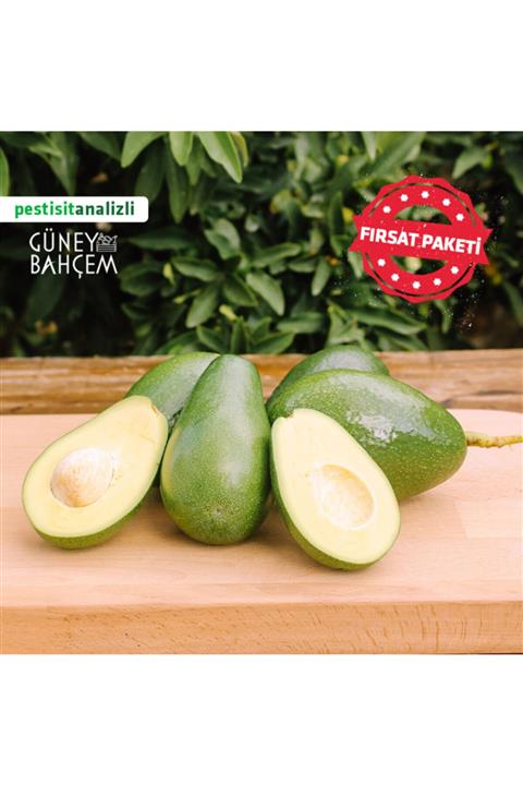 Güney Bahçem Yerli Avokado Fırsat Paketi - 10 Adet Avokado