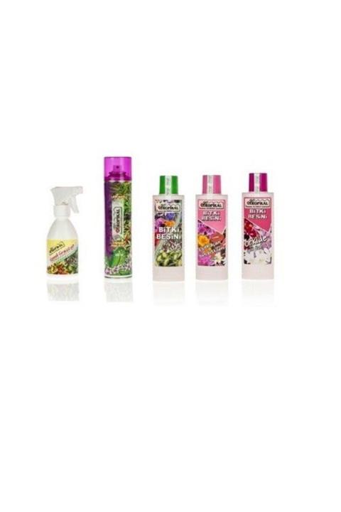 fidanistanbul Bitki Besini-çiçekli Bitkiler Için