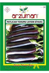 GüçlüTedarik Aydın Siyahı Patlıcan Tohumu 1500 Adet Tohum 10 Gram