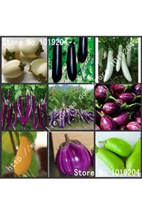 FarmLife Tohum 100 Adet 10 Çeşit Patlıcan Tohumu