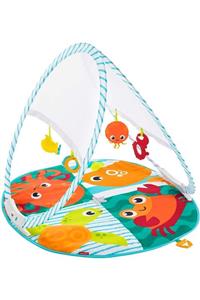 FISHER PRICE Boze Fisher Price Renkli Dostlar Taşınabilir Jimnastik Merkezi Fxc15
