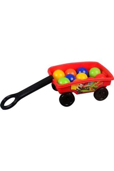 Cosargroup Sports Ve Actıvıtıes El Arabası Havuz Toplu (10 Lu)