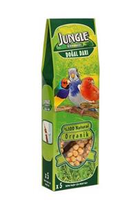 Jungle Doğal Dal Darı 5li X5 PAKET