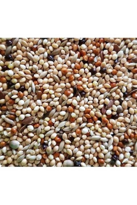 Özdemir Petshop Karışık Vitaminli Muhabbet Kuşu Yemi 2,5 Kg