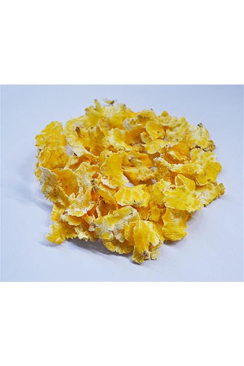 Nazilli Aşan Tarım Mısır Flake 1 gr Tavuk Tavşan Hamster Guinea Pig Yemi