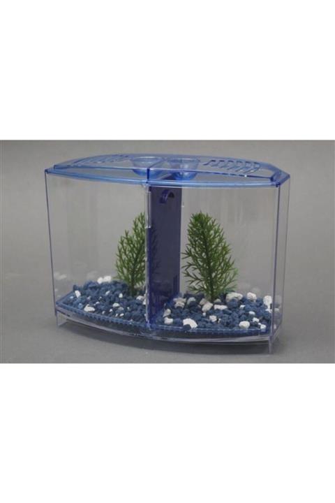 Penny Black Venys Bbt3s Beta Kabı Çiftli