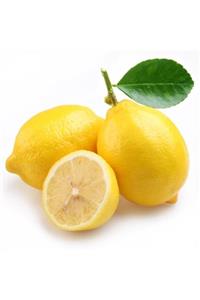 TohumBul Tüplü Kokulu Meyve Verme Yaşında Tatlı Limon Şeker Limon Fidanı (sınırlı Stok)