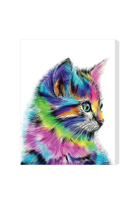 Rubenis Kedi Resimli 30x40 Tual 16renk 3 Fırçaset