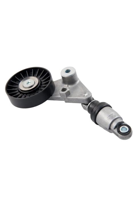 SWAG 50937254 Alternator V Kayıs Gergı Rulmanı Boxer Iıı Jumper Iıı 22dt Puma Ducato Iıı 2.2jtd 100p