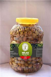 ANATOLİE Milas Yağlı Zeytini (5 kg)