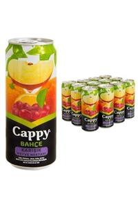 Cappy Karışık Meyve Suyu 330 Ml X 12 Li