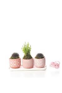 ebruozkanflowers Trio Pink Dream Design - Prenses Çamı Kokulu Tesbih