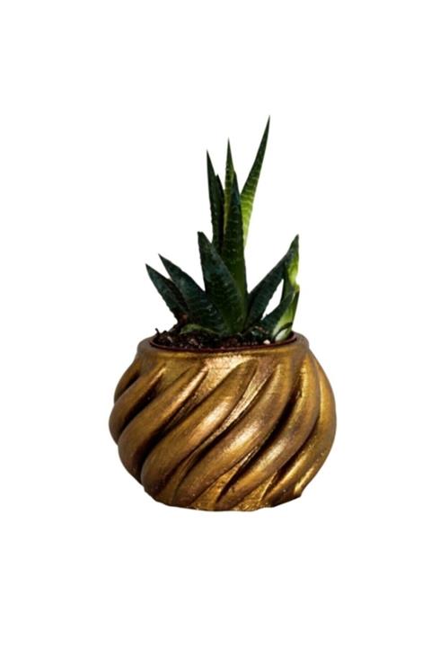 HDaksesuar Sukulent Saksı Ve Mumluk Çok Amaçlı Beton Vazo