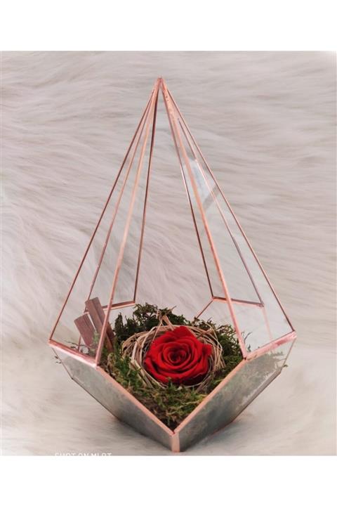 Belfiore Solmayan Gül Cam Prizma Fanus