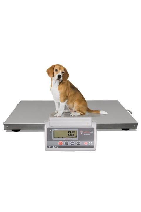 YILDIRIM TARTI Yıldırım Paslanmaz 60 X 80 Cm Veteriner Baskülü