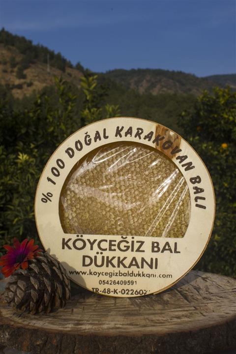 KÖYCEĞİZ BAL DÜKKANI Karakovan Balı 1300 Gr.