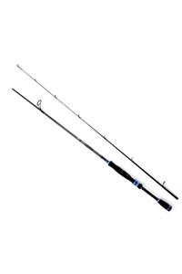 DAIWA Exceller 2,10m 7-28gr 2p Kamış