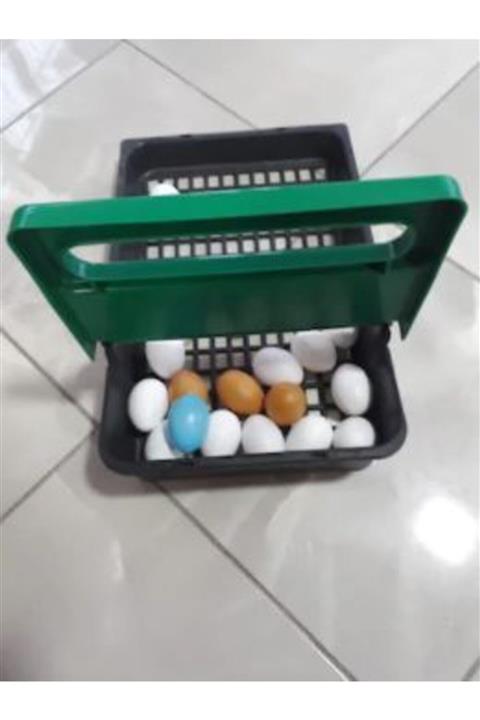 Ekip Tavukçuluk Tavuk Folluğu