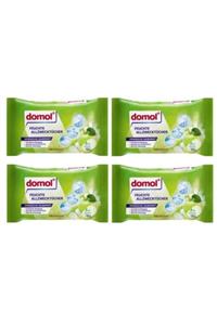 DOMOL Hijyen Mendili Çok Amaçlı Bez Elmalı 50 Li X 4 Paket