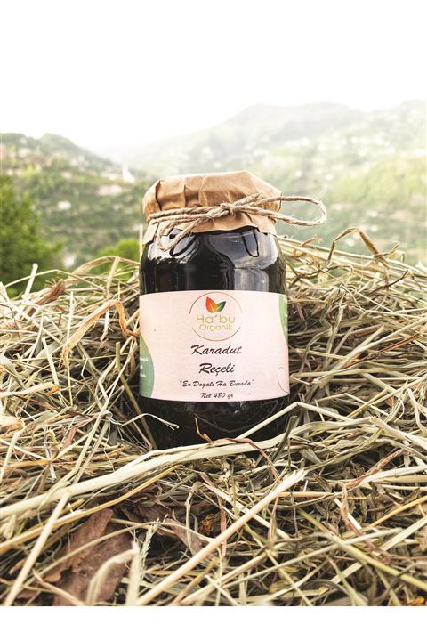 Habu Organik Organik Karadut Reçeli 480 G