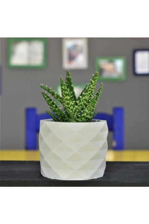 bahcebeton Ham Beton Saksı Geometrik Desenli