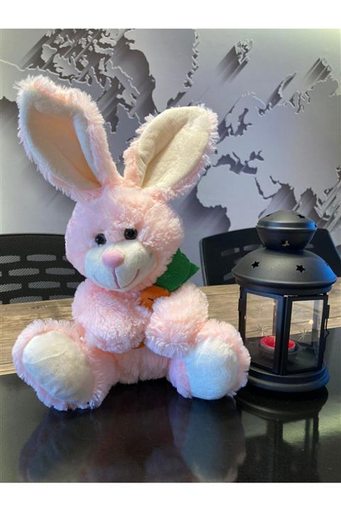 SELAY TOYS Minik Havuçlu Tavşan Peluş Oyuncak 28cm