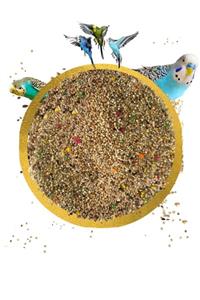 alişpet Karışık Muhabbet Kuşu Yemi (1kg) Kmky1000