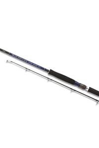 Shimano Blue Romance Ax Shore Jigging 290cm 50-80 gr