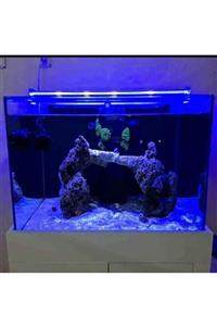 Aqualed Led Royal Mavi Akvaryum Led Aydınlatma 140 Cm