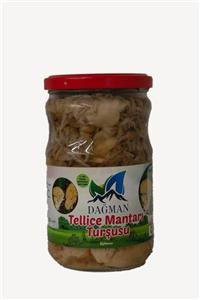 DAĞMAN Kastamonu Tellice Mantarı Turşusu  400gr