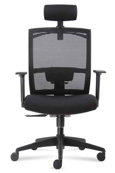 Rapido Fileli, Başlıklı Ergonomik Yönetici Koltuğu D227 B