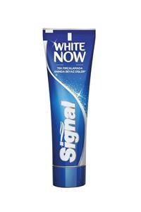 Signal Diş Macunu White Now 75 ml