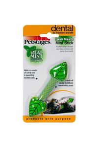 PetStages Mint Stick Nane Kokulu Kedi Oyuncağı