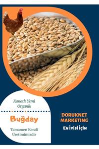 DORUKNET MARKETİNG Tavuk Güvercin Yemi Temizlenmiş Yemlik Buğday 10 kg