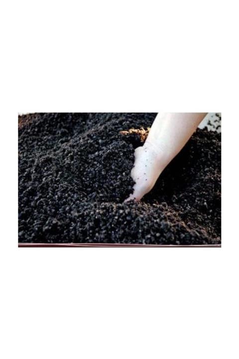 İYİBAHÇE Organik Gübreli Torf Kokopit Pomza Karışımı Toprak 60 Lt