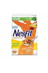 Nestle Nesfit  Karışık Meyve 400gr