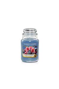 Yankee Candle 1556245e Büyük Klasik Mum Mulberry - Fig