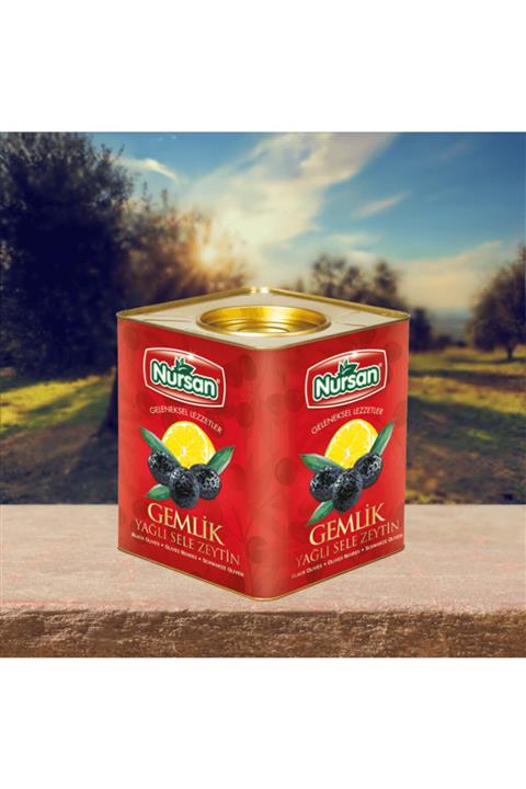 Nursan Gıda Mega Zeytin 10kg