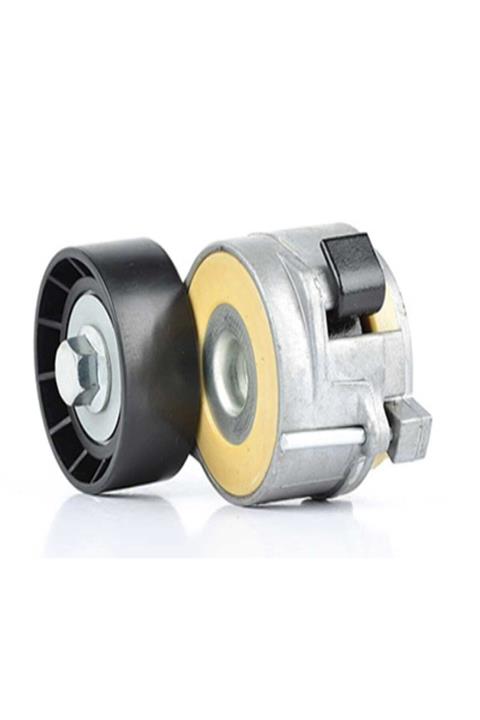 BSG V Kayış Gergi Rulmanı Kütüklü (komple) Expert Tepe /jumpy-3/nemo