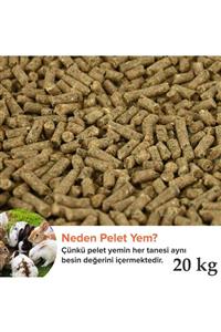 Vixpet Tavşan Ve Guinea Pig Pelet Yemi 20 Kg