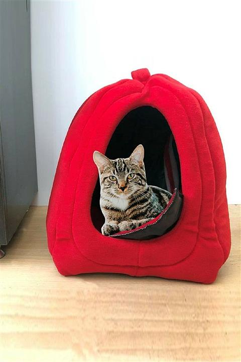 Markafox Pet Hut Polar Kedi Ve Köpek Yatağı Kırmızı Renk Kedi Yatak 1350