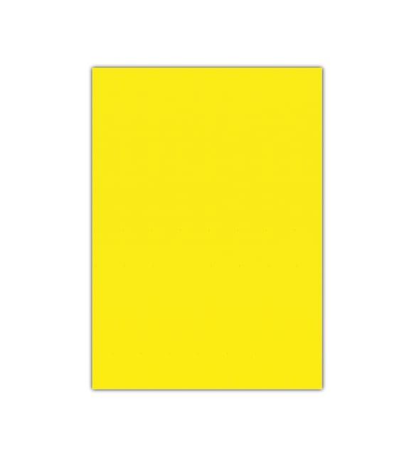 Bigpoint Simli Eva 50x70cm Pembe 10'lu Paket