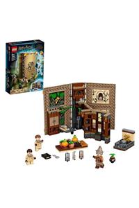 LEGO Herbology Class 76384