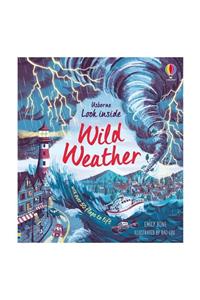 Usborne Look Inside Wild Weather