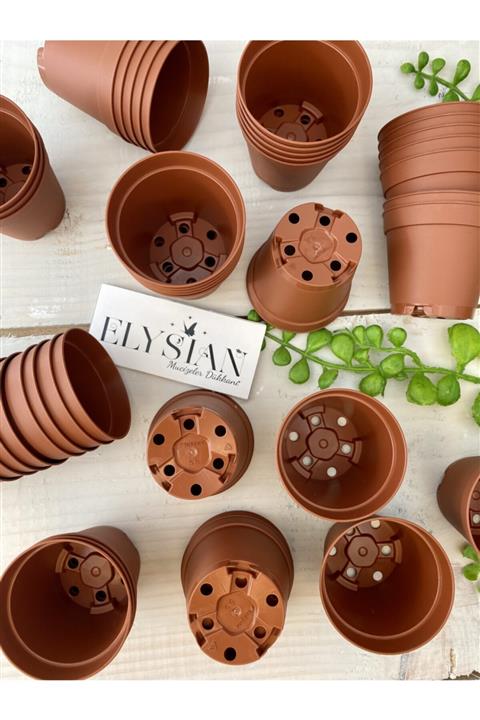 Elysian Üretim Saksı 30 Adet Kaktüs Ve Sukulent Üretim Saksısı 5,5x5 Kahverengi Renkli Küçük Plastik Saksı