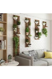 DLN Wooden Design Dekoratif Çiçeklik Standı Duvar Saksılık Duvar Çiçeklik Ahşap Saksılık 4lü Merdiven Set