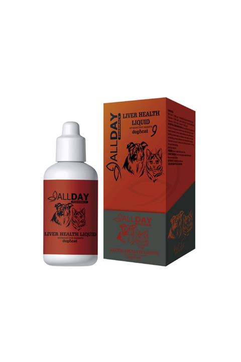 ALLDAY Liver Health Liquid 100 Ml