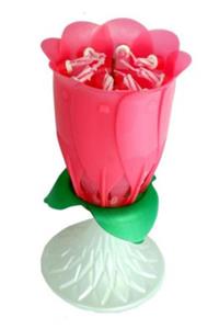 Kastore Parti Pembe Işıklı Müzik Sesli Doğum Günü Pasta Mumu Büyük Boy