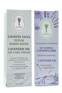 Dr. Lavender Bitkisel Dudak Bakım Kremi Nemlendiricisi Lip Balm + Saf Lavanta Yağı 10 Ml