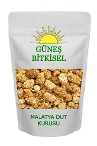 Güneş Bitkisel Dut Kurusu 250 gr